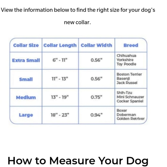 HP🎉NWT DOG NECKLACE - Picture 10 of 10